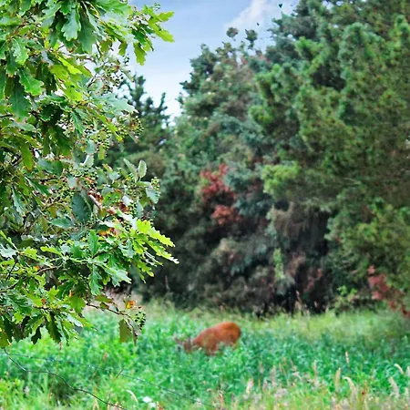 Luxury Retreat With Pool - By Traum Casa vacanze *